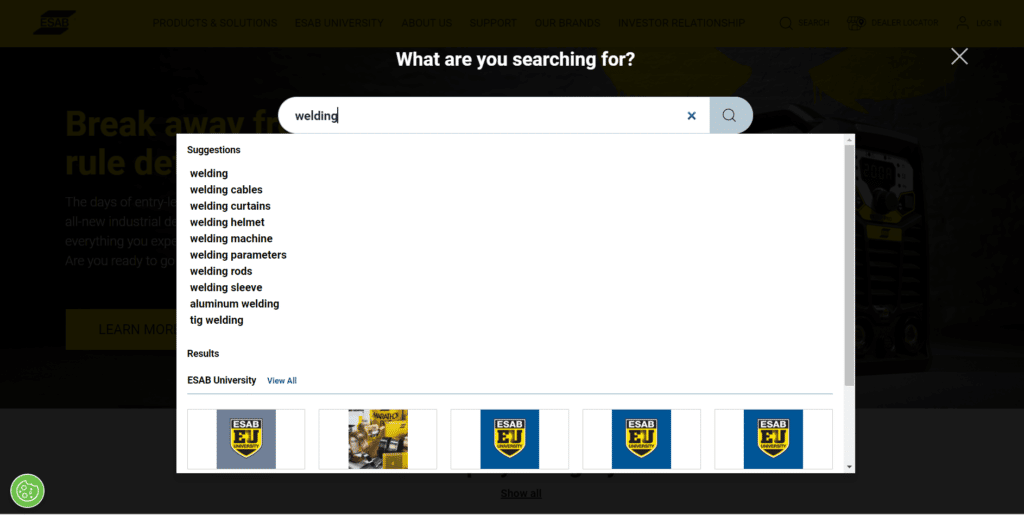 How Does Predictive Search Work?